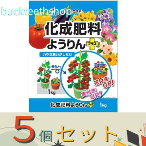 5ZbgAOAij@엿悤vX@1kg@ij