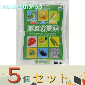 ��5�Z�b�g�������A�O���A�i���j�@���ʗv�f�����؂̔엿�@550g�@�i�����j