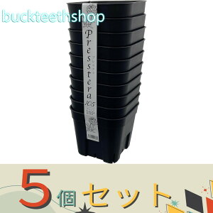 5ZbgAbvEGA@vXe105@10gubN@y80z4539920901730