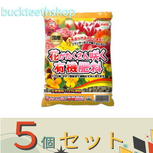 5Zbgij@Ԃ炭L@엿@500g