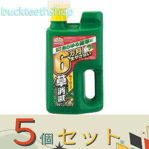 5ZbgA[X@A[XJ}CY@WEwbh@2L@y8z4901080291714