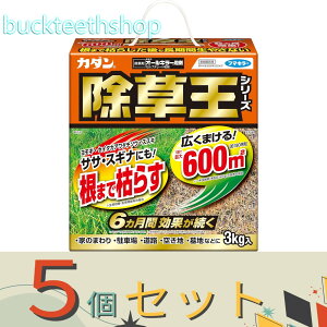 5Zbgt}L[Ё@J_I[L[܁@3kg@y6z4902424450101