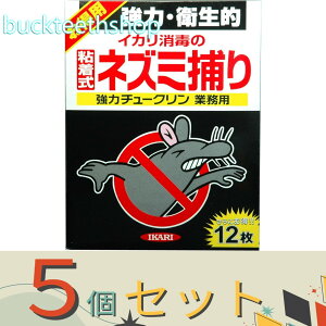 5ZbgCJŁijƊJ@̓`[N@Ɩp@12P@iCJj