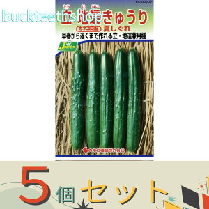 5ZbgJlRc@^l@nイ@Ă