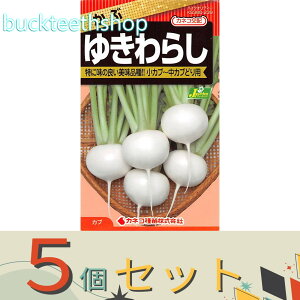 5ZbgJlRc@^l@ԁ@䂫炵