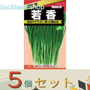 5ZbgJlRc@^l@ׂ˂@ፁij