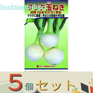 5ZbgJlRc@^l@T_ʂ˂@l@