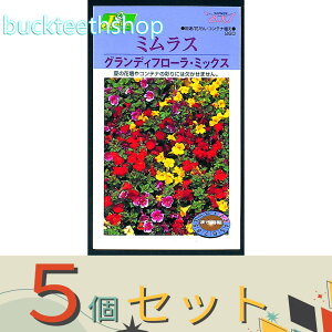 5ZbgJlRc@^l@T_؁@Ɉ