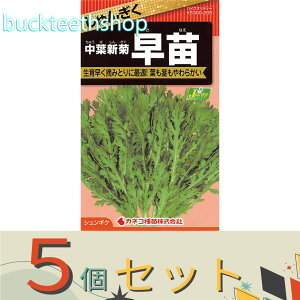 5ZbgJlRc@^l@񂬂@tVe@ciȂj