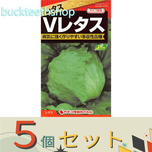 5ZbgJlRc@^l@^X@ViBj^X