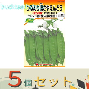 5ZbgJlRc@^l@邠茦₦ǂ@30@iԁj