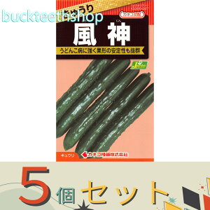 ��5�Z�b�g���J�l�R��c�@�^�l�@���イ��@���_