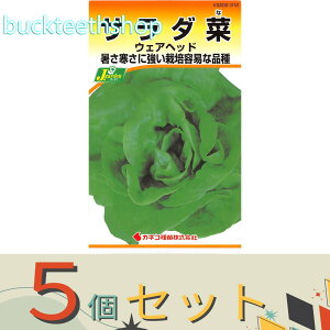 ��5�Z�b�g���J�l�R��c�@�^�l�@�T���_�؁@�E�F�A�w�b�h