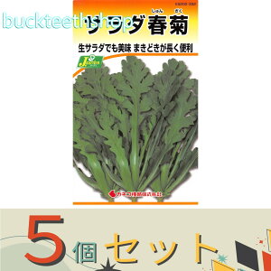 ��5�Z�b�g���J�l�R��c�@�^�l�@�T���_�t�e