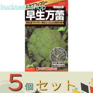 5ZbgJlRc@^l@ubR[@Q