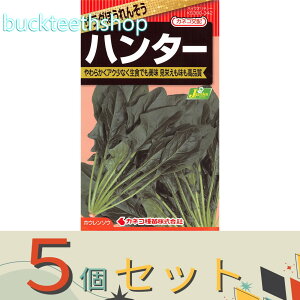 5ZbgJlRc@^l@T_ق񂻂@n^[