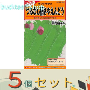 5ZbgJlRc@^l@Ȃǂ@ԉԌ