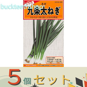 5ZbgJlRc@^l@𑾂˂