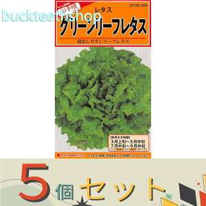 ��5�Z�b�g���J�l�R��c�@�^�l�@�O���[�����[�t���^�X