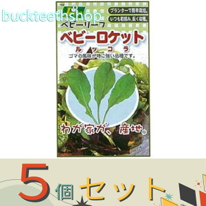 5ZbgJlRc@^l@xr[[tQxr[Pbg@bR