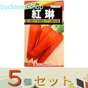 5ZbgJlRc@^l@ɂ񂶂@g