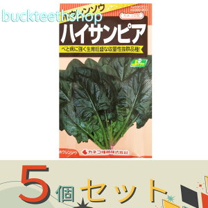 5ZbgJlRc@^l@ق񂻂@nCTsA