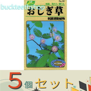 ��5�Z�b�g���J�l�R��c�@�^�l�@��������