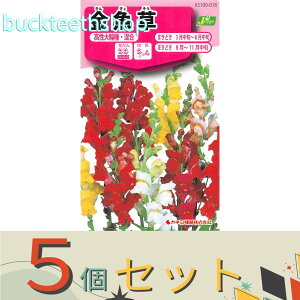 5ZbgJlRc@^l@@։ԁE