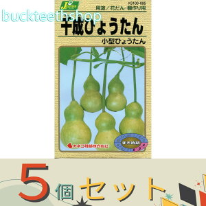 ��5�Z�b�g���J�l�R��c�@�^�l�@�琬�Ђ傤����@���^�Ђ傤����