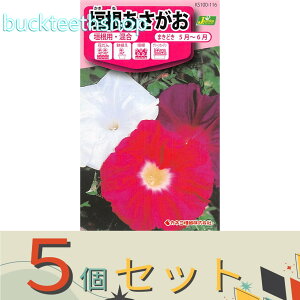 ��5�Z�b�g���J�l�R��c�@�^�l�@�_�����������@�_���p�E����