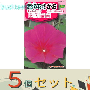 ��5�Z�b�g���J�l�R��c�@�^�l�@���m���������@�X�J�[���b�g�I�n��