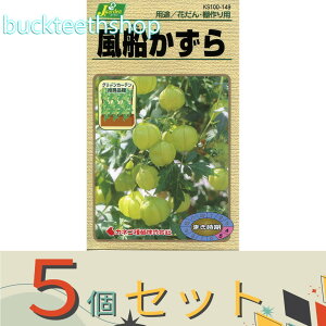 ��5�Z�b�g���J�l�R��c�@�^�l�@���D������