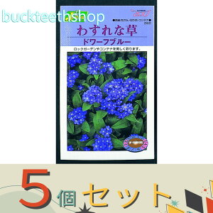 5ZbgJlRc@^l@킷ȑ@h[tu[