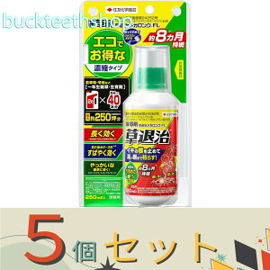 5ZbgZFw|ij@VjގKOFL250ml@y30z4975292604648