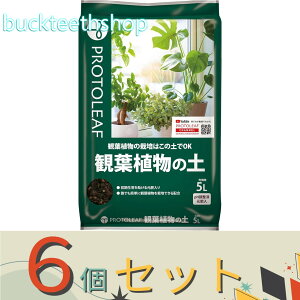 6Zbgvg[t@ϗtA̓y@5L@iP[tj