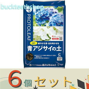 6Zbgvg[t@AWTC̓y@5L