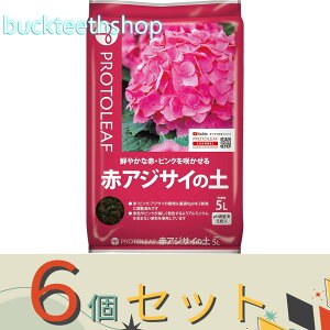 6Zbgvg[t@ԃAWTC̓y@5L