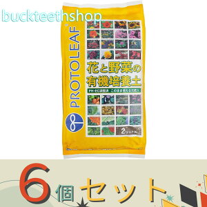 6Zbgvg[t@ԂƖ؂̗L@|{y@2L@iP[tj