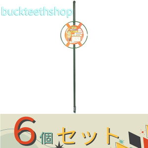 6ZbgtHXg@邭xZbg@g}gp@itHXgj