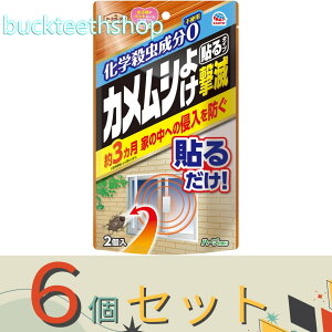 ��6�Z�b�g���A�[�X����@�A�[�X�K�[�f���@�J�����V�悯���Ł@�\��^�C�v�@2���@�y32�z042316