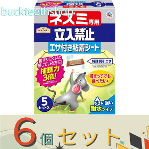 6ZbgA[X@lY~p֎~GTtSV[g5Zbgy14z4901080047519