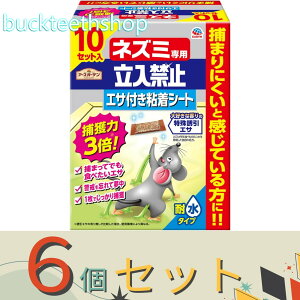 6ZbgA[X@A[XG@lY~p֎~@GTtSV[g@10Zbgy6z064219