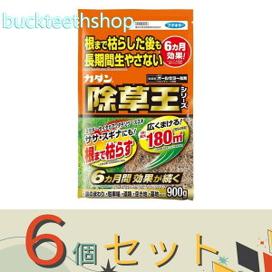 6Zbgt}L[Ё@J_I[L[܁@900g@y12z4902424450088