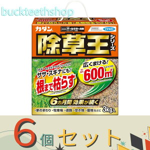 6Zbgt}L[Ё@J_I[L[܁@3kg@y6z4902424450101