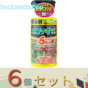 ��6�Z�b�g�����C���{�[��i�@�l�R�\�M�G�[�XV���܁@350g