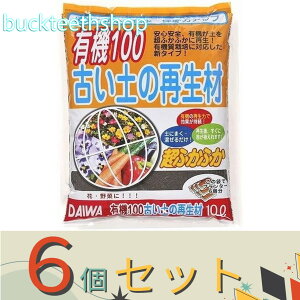 6Zbgija@L@100@Ây̍Đށ@10L@iaj