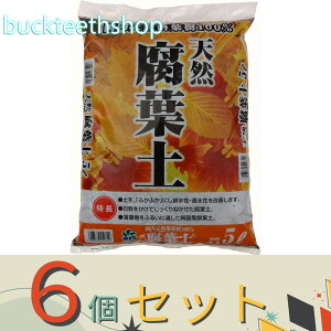 6ZbgRpȊwij@VRty@5L@y10z4907579550829