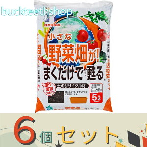 6ZbgRpȊwij@Ȗؔ܂S@5L@iRj