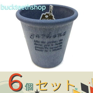 ��6�Z�b�g�����������i���j�@�G�R�|�b�g�@�ی^5���@�l�C�r�[