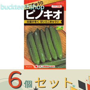 6ZbgJlRc@^l@~jイ@smLI